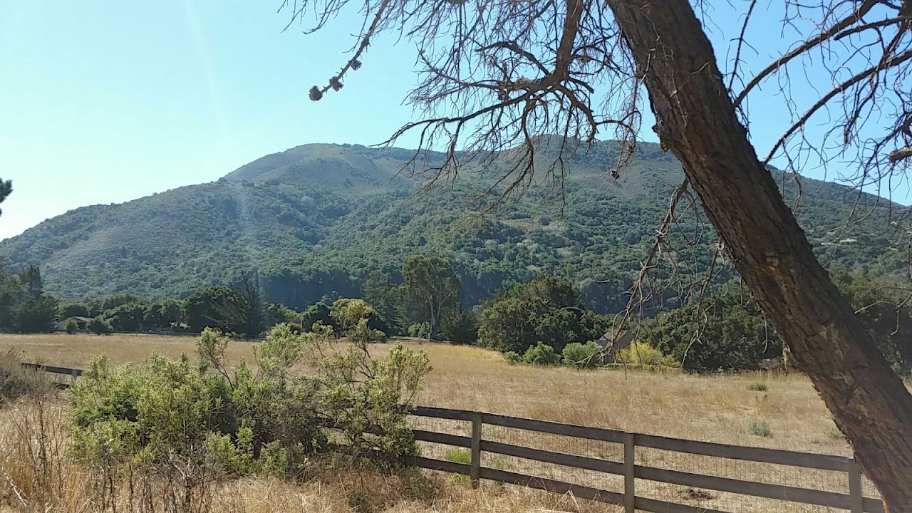 Parsonage Village Vineyard
