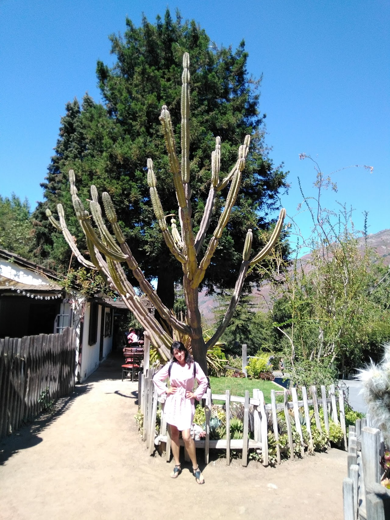 Big Sur Coast Properties