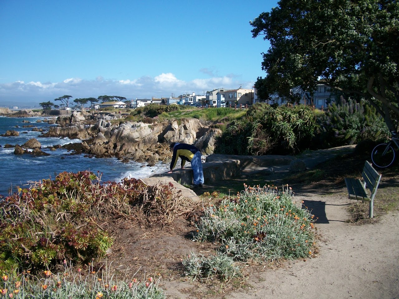 Monterey Real Estate Firm