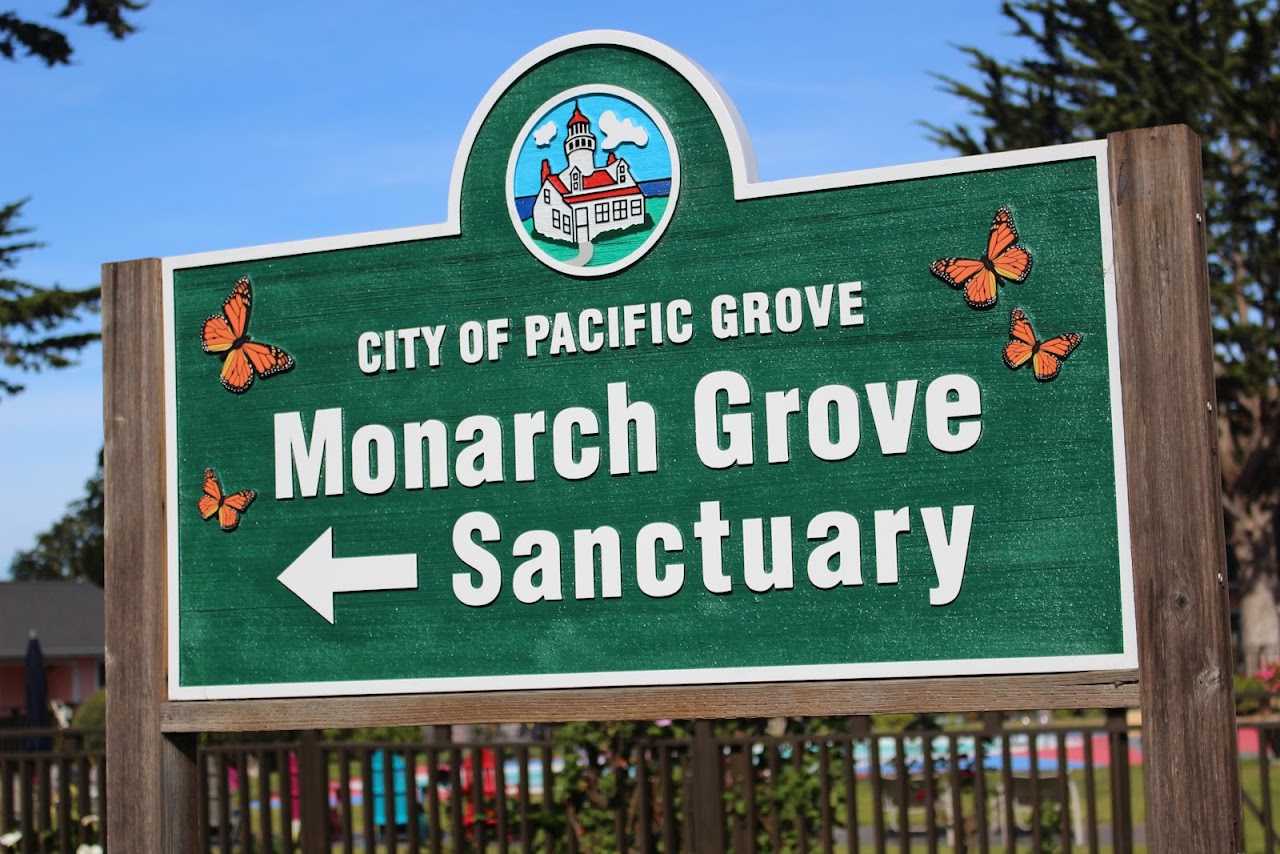 Monarch Butterfly Sanctuary – Pacific Grove