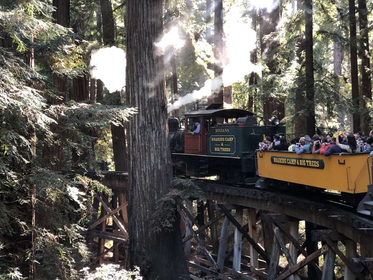 Roaring Camp Railroads