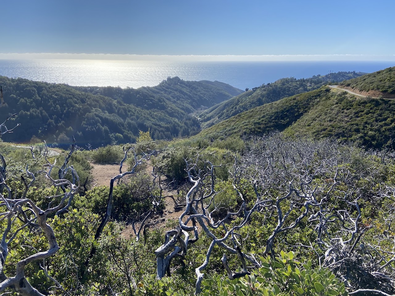 Buzzards Roost Trail