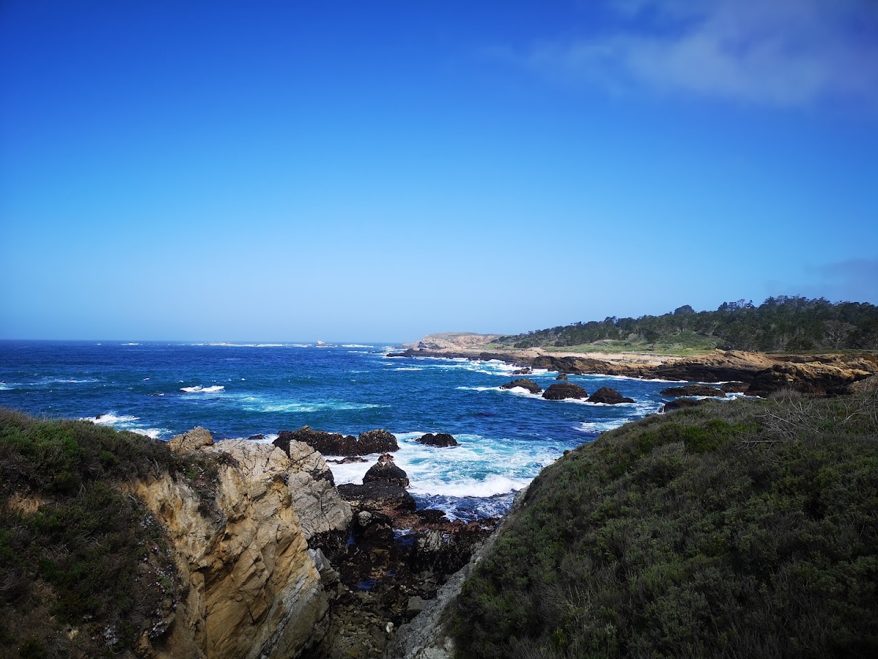 Point Lobos Sea Lion Point Trail