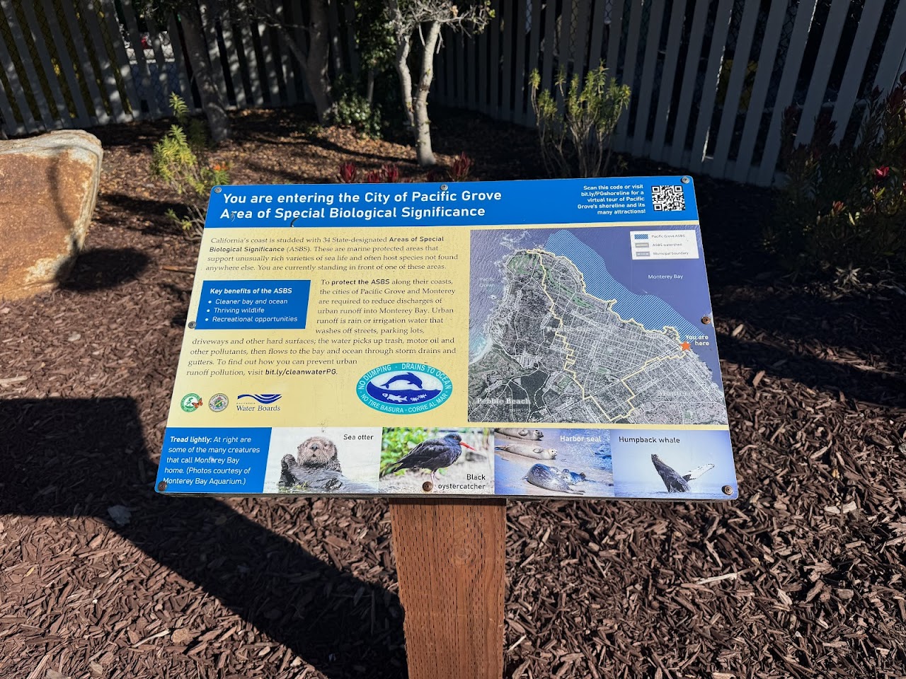 Monterey Bay Coastal Recreation Trail