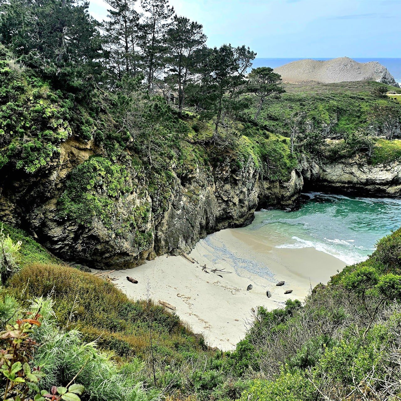 Point Lobos State Natural Reserve
