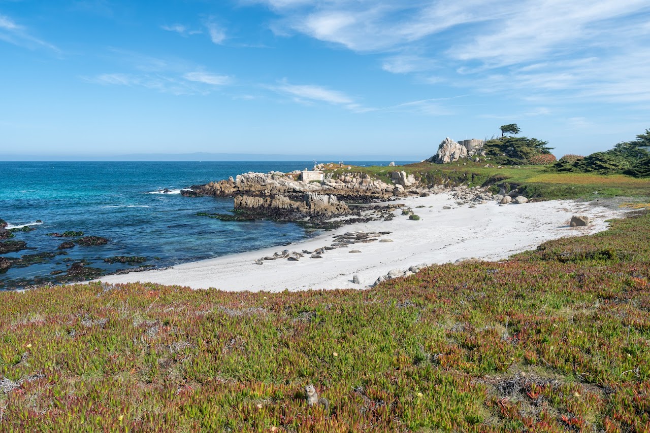 Hopkins Marine Life Refuge