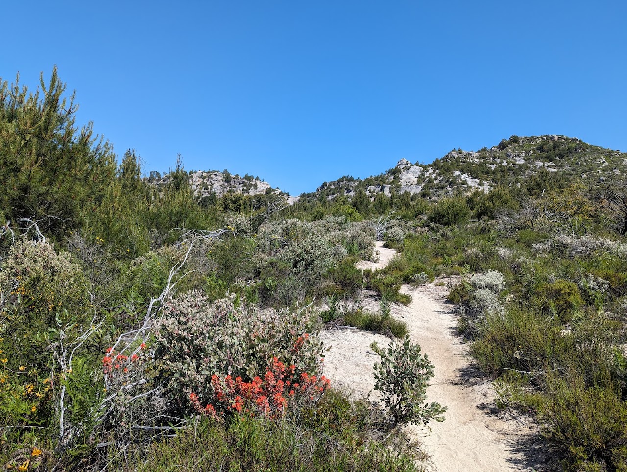 Bonny Doon Ecological Reserve