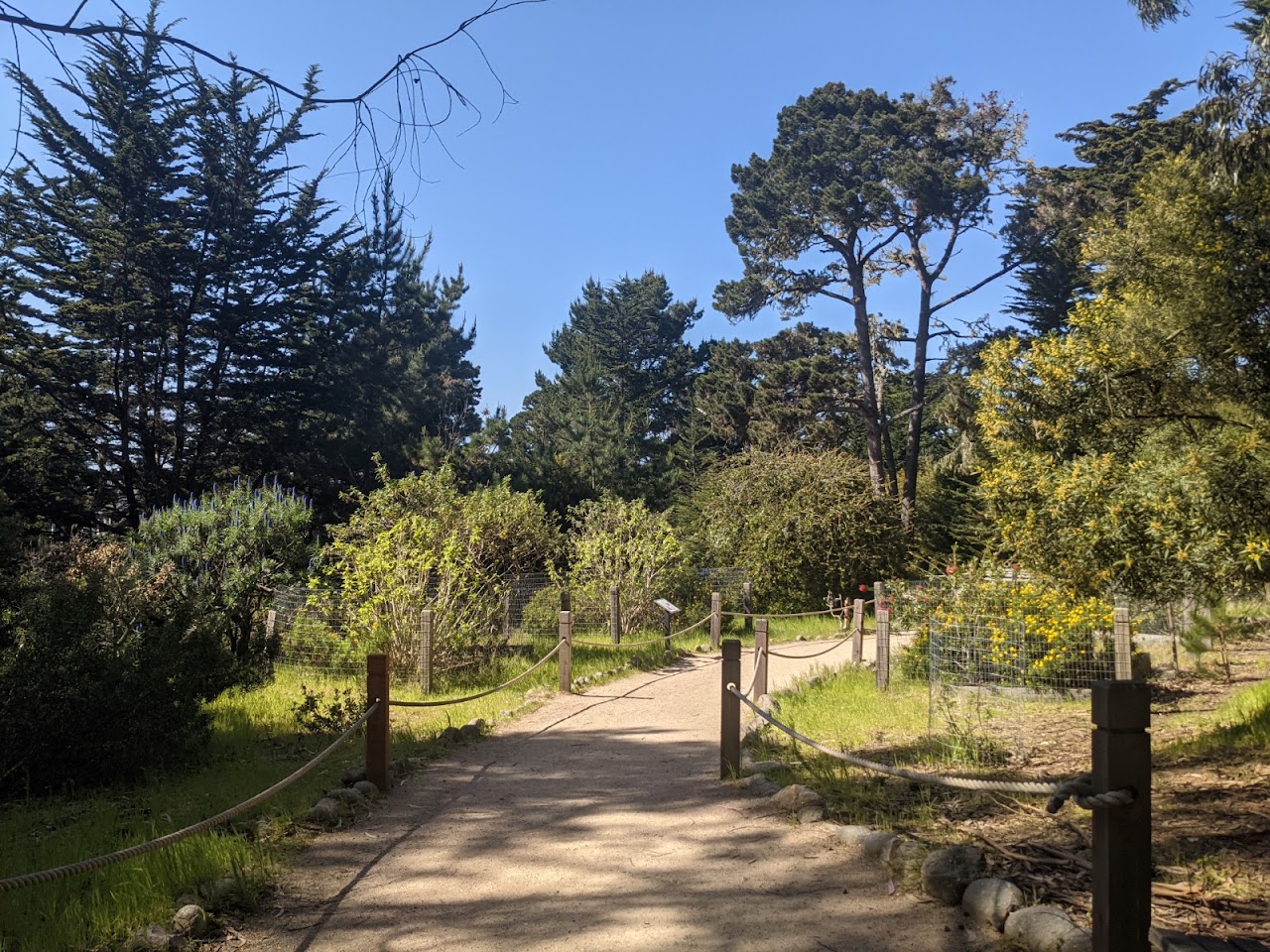 Monarch Sanctuary