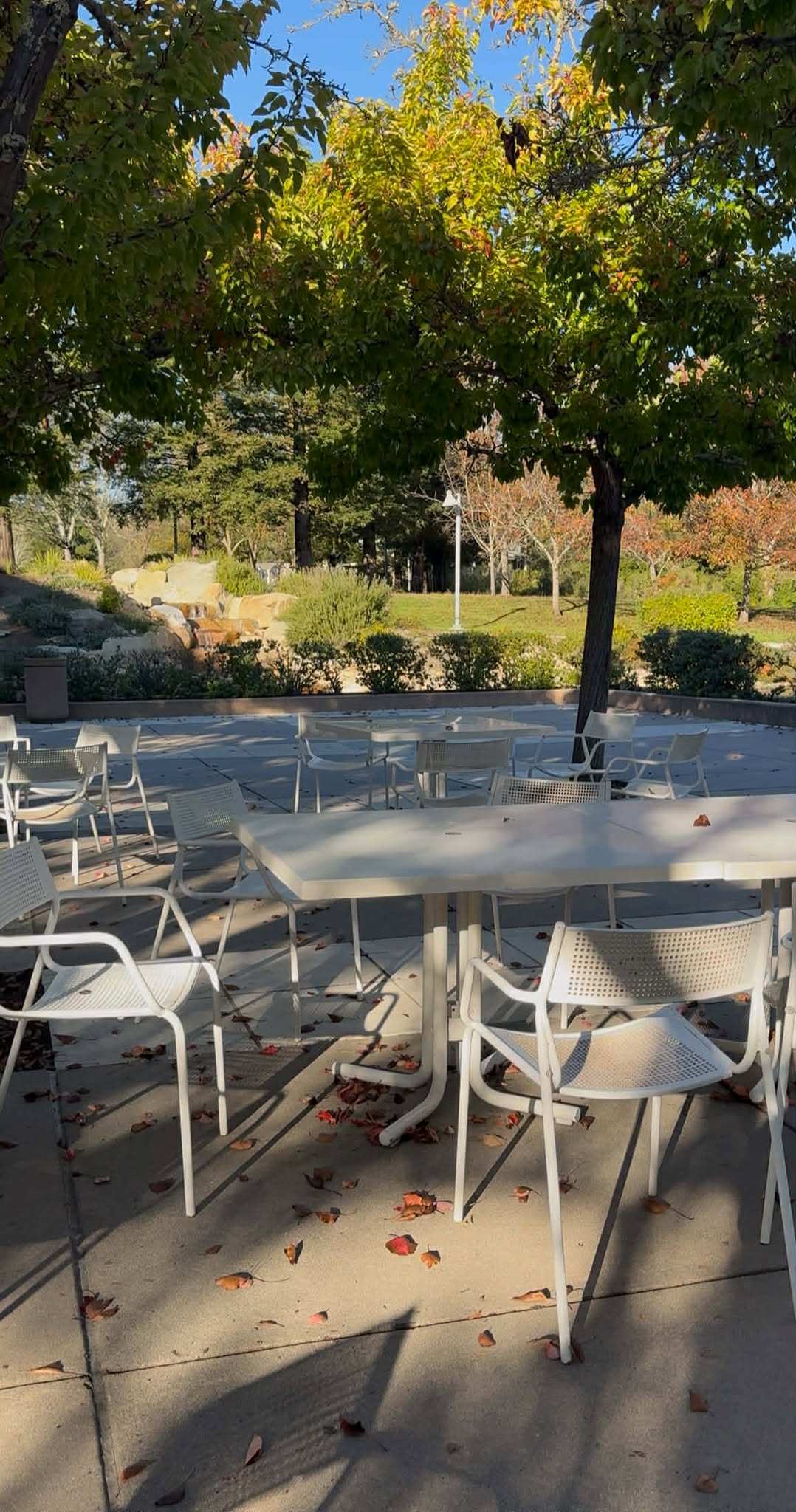 Nashville Fire Chicken