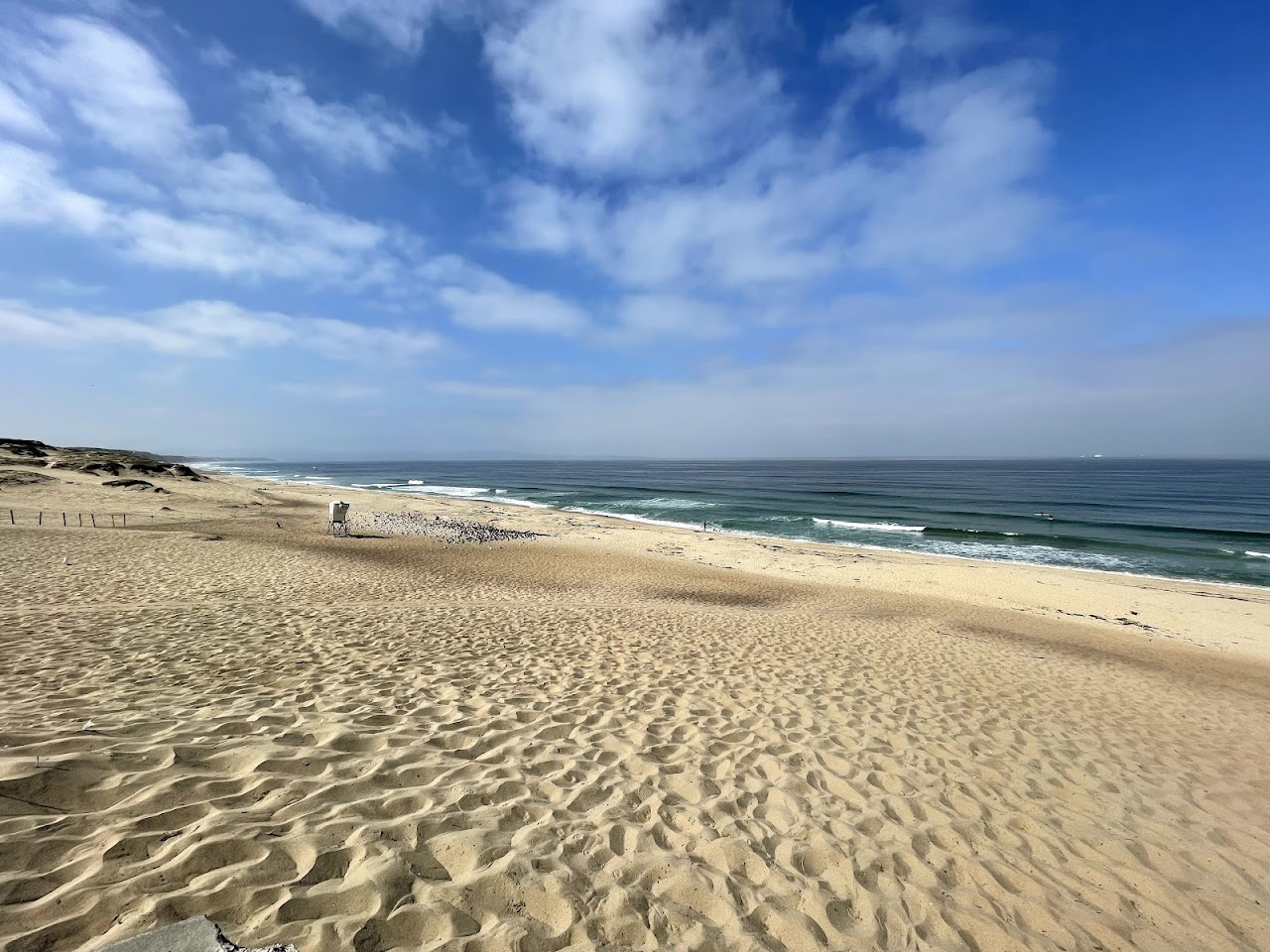 Marina State Beach