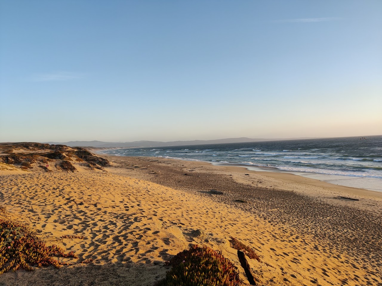Marina Dunes Preserve