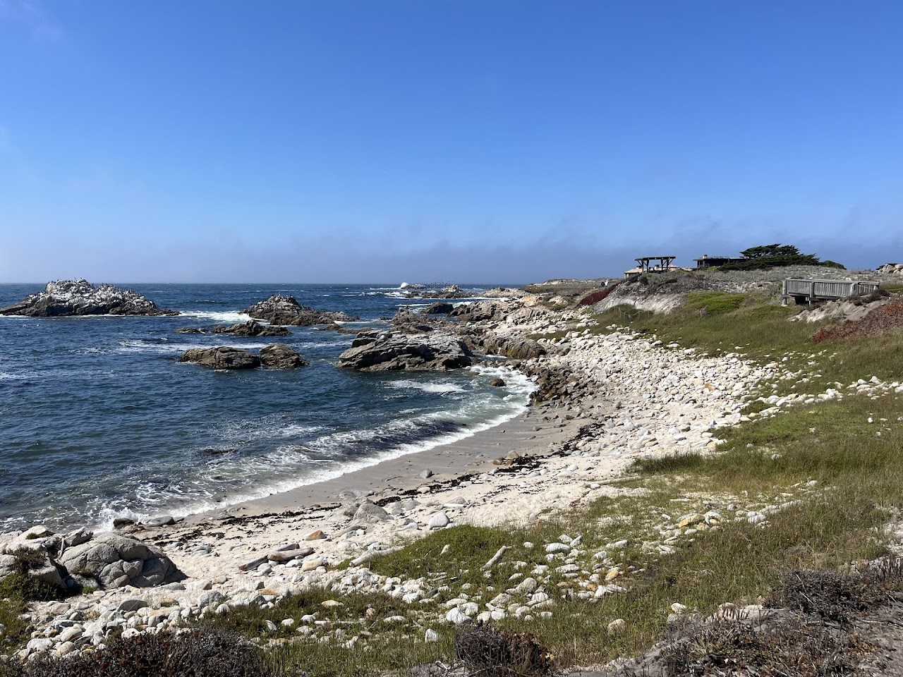 Lookout Point & Asilomar Dunes Trail