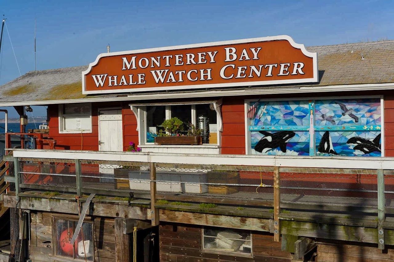 Monterey Bay Whale Watch