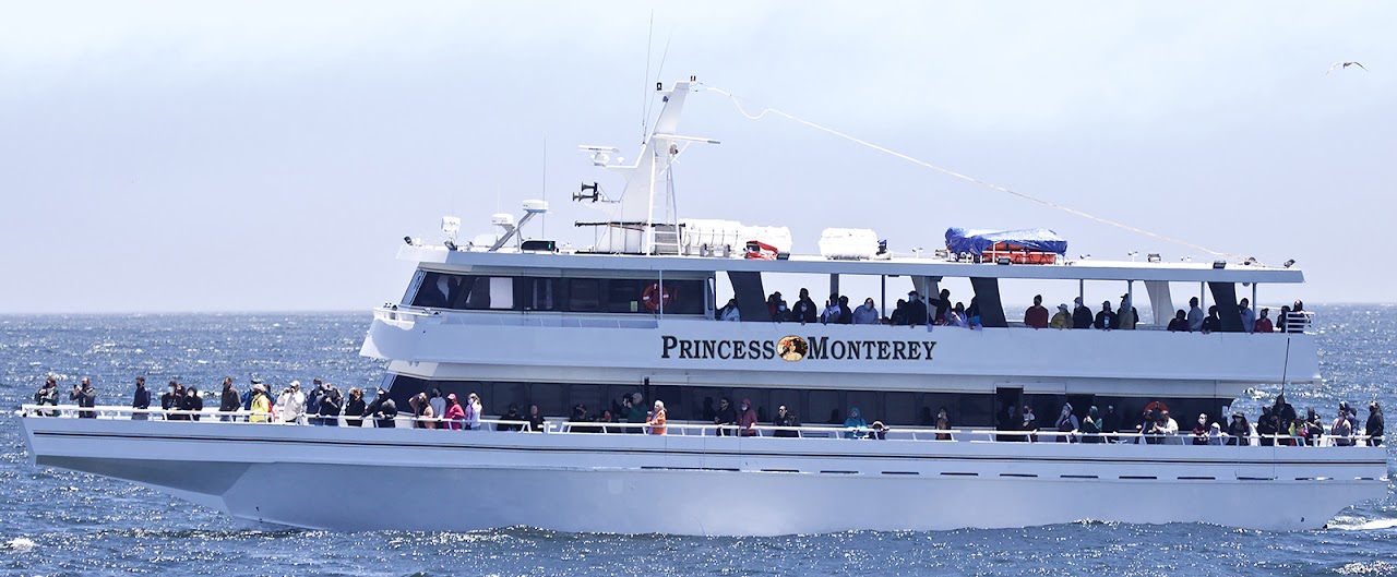 Princess Monterey Whale Watching