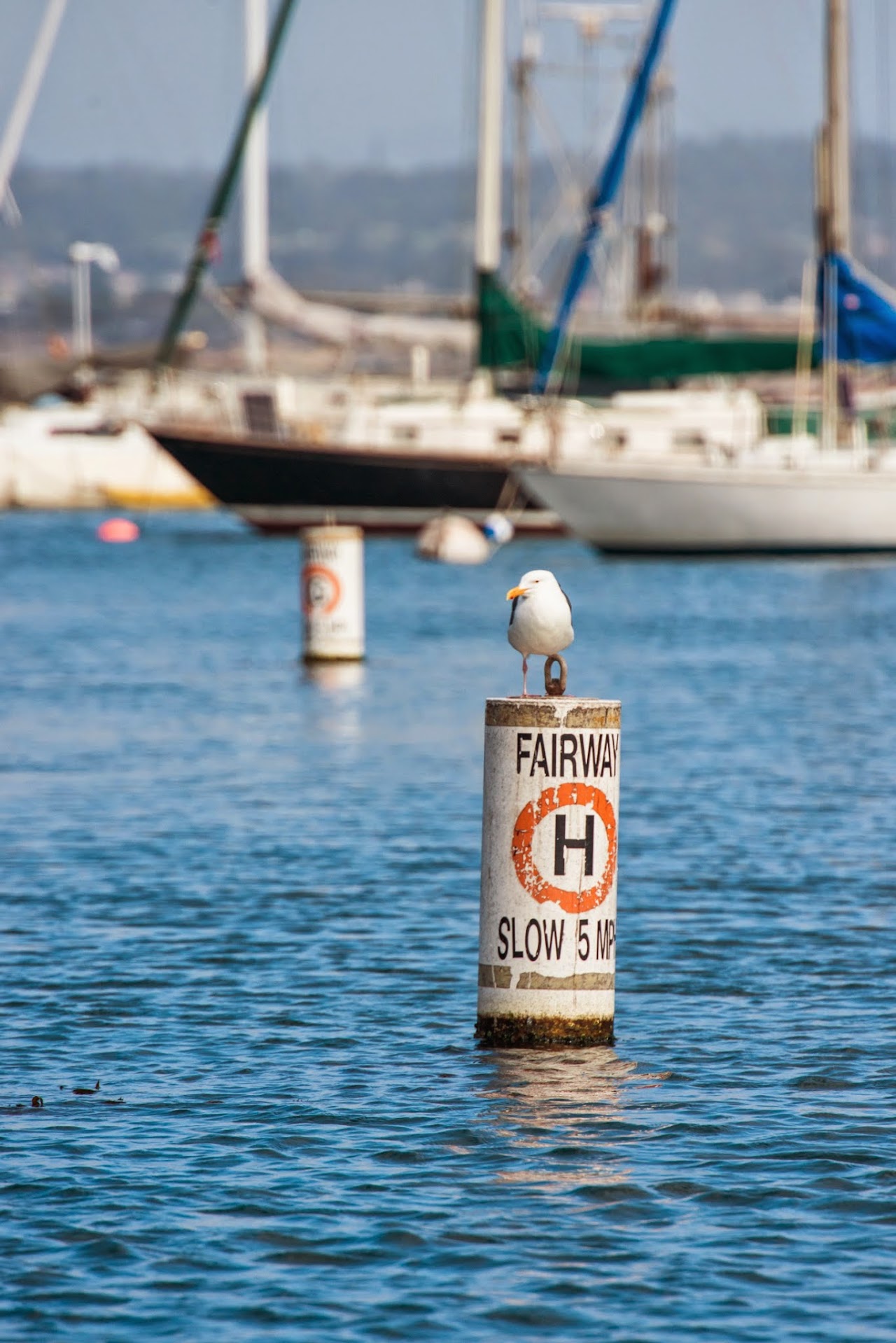 Adventures By The Sea Downtown Fishermans Wharf