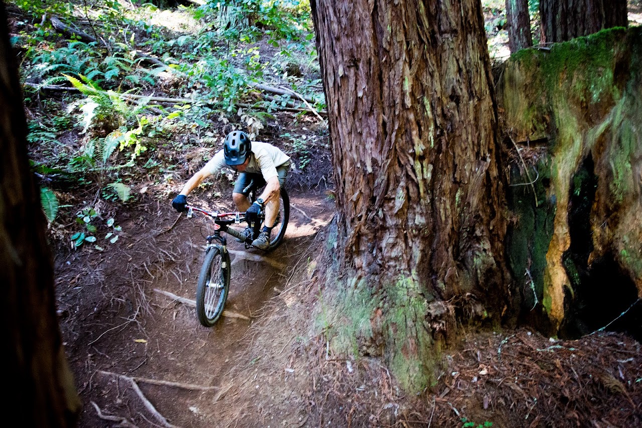 Bay Area to Santa Cruz: 1-Day Trip