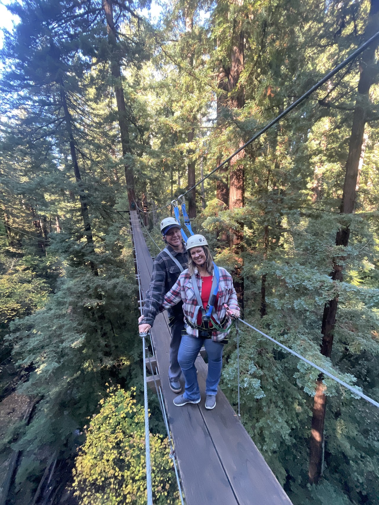 Redwood Canopy Tour